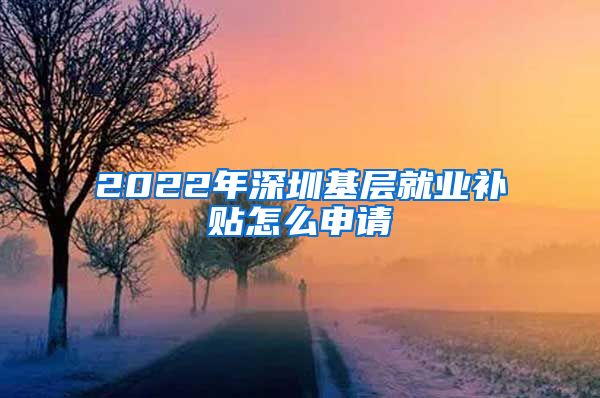 2022年深圳基层就业补贴怎么申请
