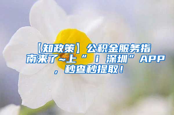 【知政策】公积金服务指南来了~上“ i 深圳”APP，秒查秒提取！