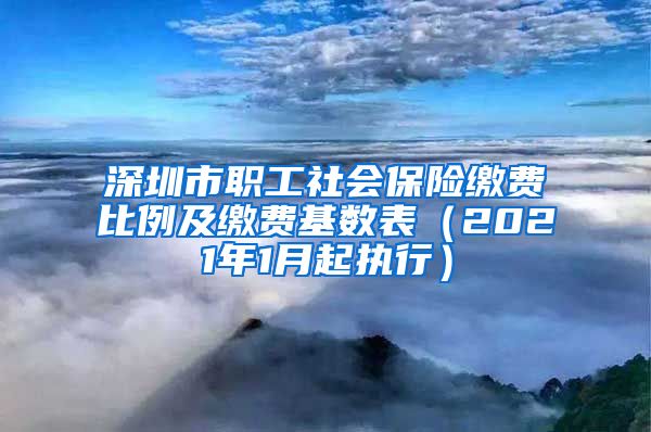 深圳市职工社会保险缴费比例及缴费基数表（2021年1月起执行）