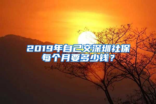 2019年自己交深圳社保每个月要多少钱？