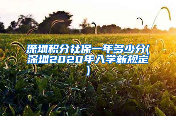 深圳积分社保一年多少分(深圳2020年入学新规定)