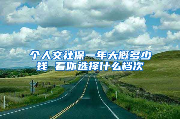 个人交社保一年大概多少钱 看你选择什么档次