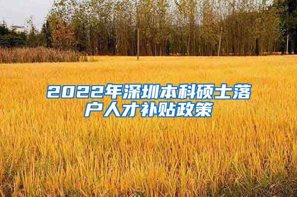 2022年深圳本科硕士落户人才补贴政策