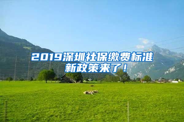 2019深圳社保缴费标准 新政策来了！