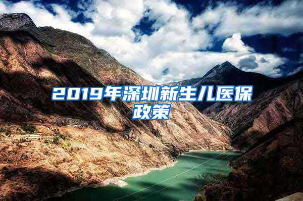 2019年深圳新生儿医保政策