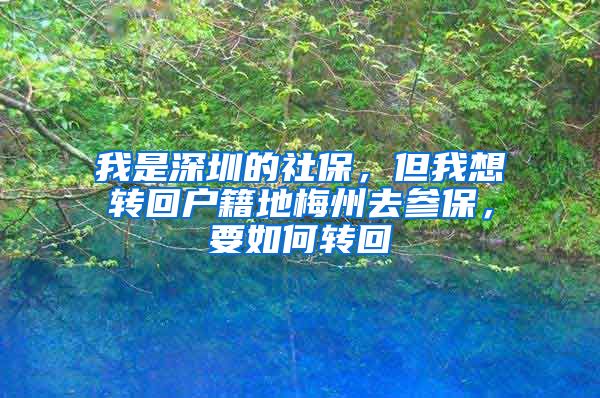 我是深圳的社保，但我想转回户籍地梅州去参保，要如何转回