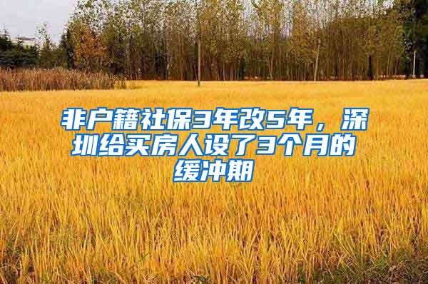 非户籍社保3年改5年，深圳给买房人设了3个月的缓冲期