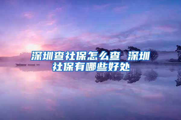 深圳查社保怎么查 深圳社保有哪些好处