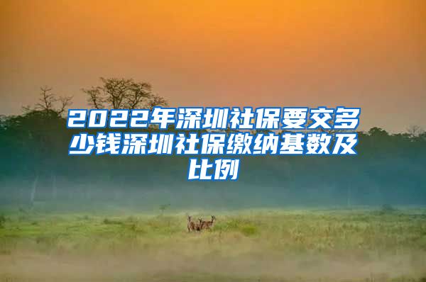 2022年深圳社保要交多少钱深圳社保缴纳基数及比例