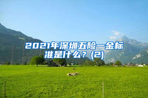 2021年深圳五险一金标准是什么？(2)