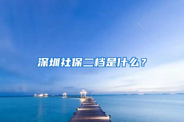 深圳社保二档是什么？