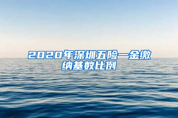 2020年深圳五险一金缴纳基数比例