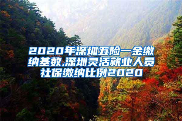 2020年深圳五险一金缴纳基数,深圳灵活就业人员社保缴纳比例2020
