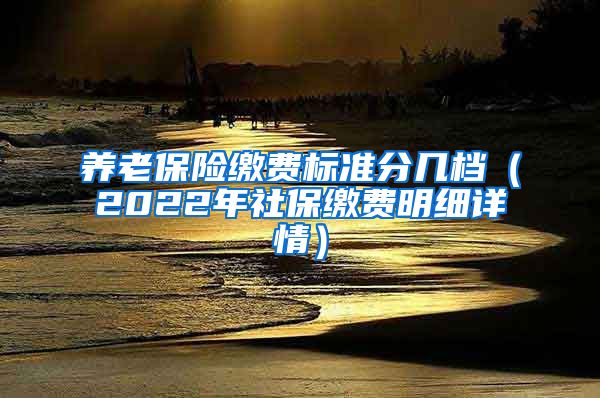 养老保险缴费标准分几档（2022年社保缴费明细详情）