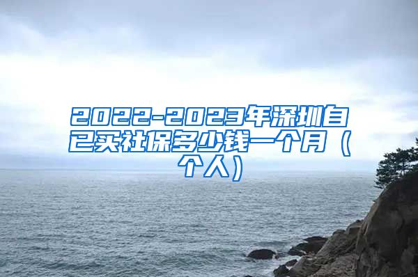 2022-2023年深圳自已买社保多少钱一个月（个人）