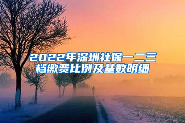 2022年深圳社保一二三档缴费比例及基数明细
