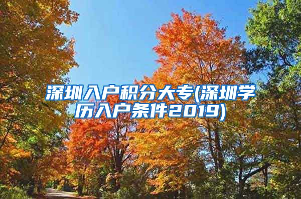 深圳入户积分大专(深圳学历入户条件2019)