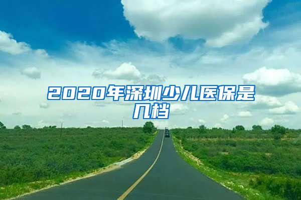 2020年深圳少儿医保是几档