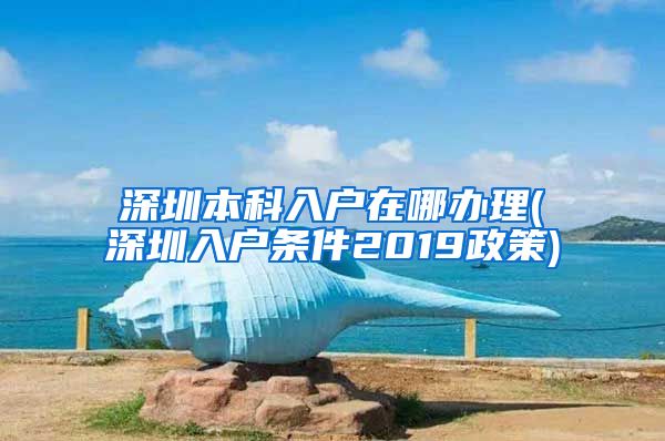 深圳本科入户在哪办理(深圳入户条件2019政策)