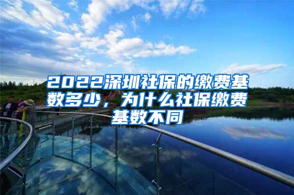 2022深圳社保的缴费基数多少，为什么社保缴费基数不同