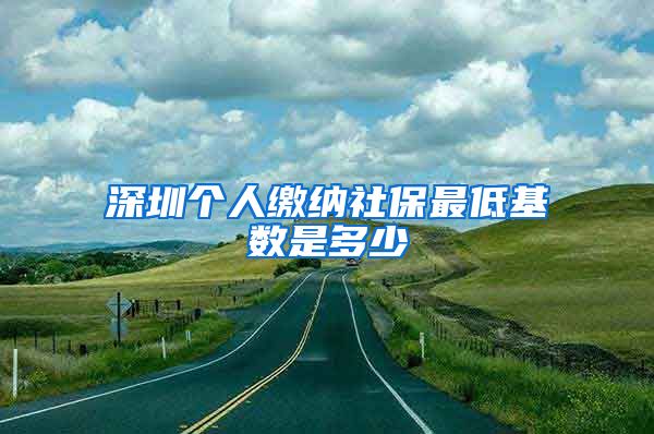 深圳个人缴纳社保最低基数是多少