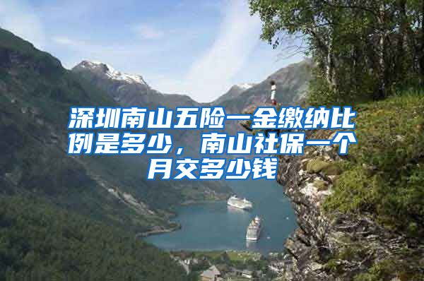 深圳南山五险一金缴纳比例是多少，南山社保一个月交多少钱