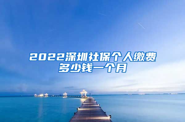 2022深圳社保个人缴费多少钱一个月
