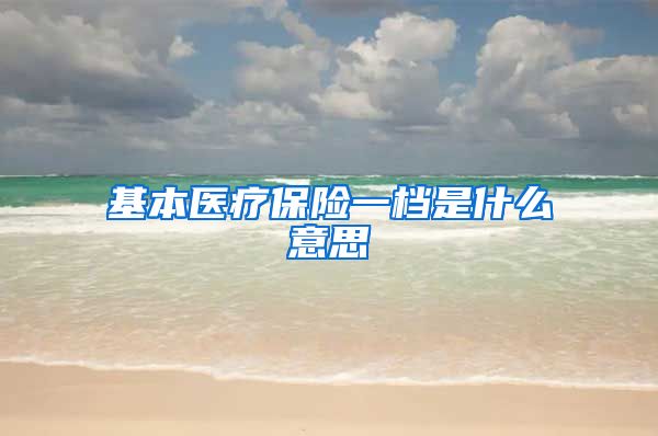 基本医疗保险一档是什么意思