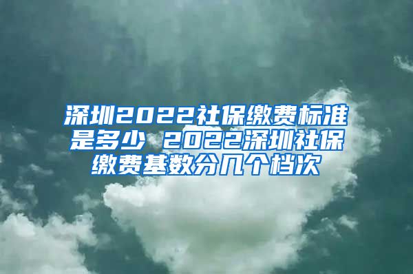 深圳2022社保缴费标准是多少 2022深圳社保缴费基数分几个档次