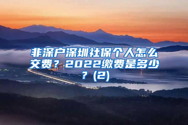 非深户深圳社保个人怎么交费？2022缴费是多少？(2)