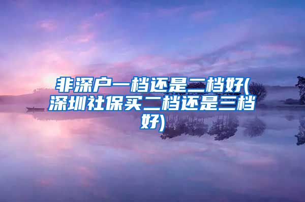 非深户一档还是二档好(深圳社保买二档还是三档好)