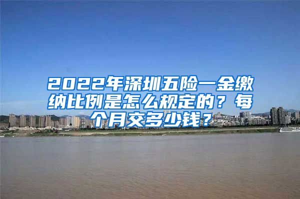 2022年深圳五险一金缴纳比例是怎么规定的？每个月交多少钱？