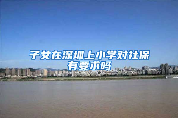 子女在深圳上小学对社保有要求吗