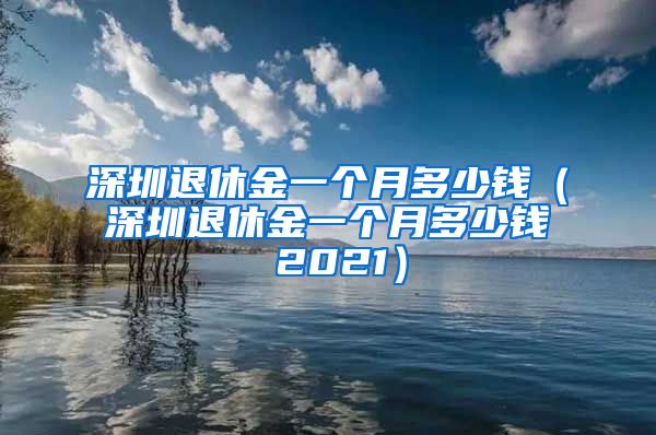 深圳退休金一个月多少钱（深圳退休金一个月多少钱 2021）