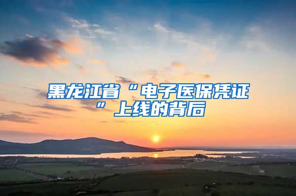 黑龙江省“电子医保凭证”上线的背后