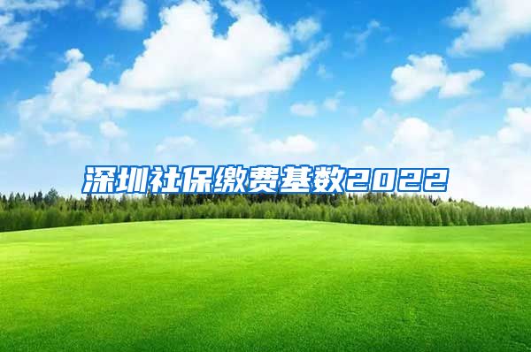 深圳社保缴费基数2022