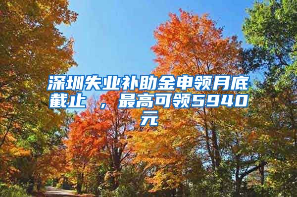 深圳失业补助金申领月底截止 ，最高可领5940元