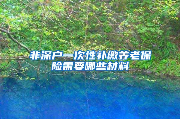 非深户一次性补缴养老保险需要哪些材料