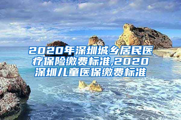 2020年深圳城乡居民医疗保险缴费标准,2020深圳儿童医保缴费标准