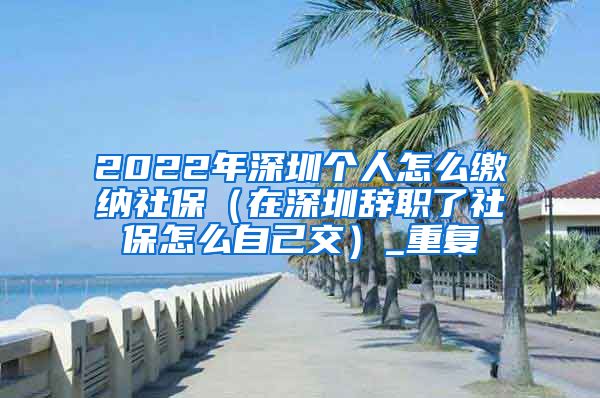 2022年深圳个人怎么缴纳社保（在深圳辞职了社保怎么自己交）_重复