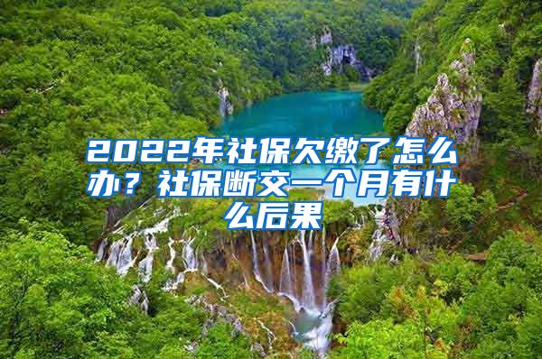 2022年社保欠缴了怎么办？社保断交一个月有什么后果