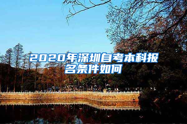 2020年深圳自考本科报名条件如何