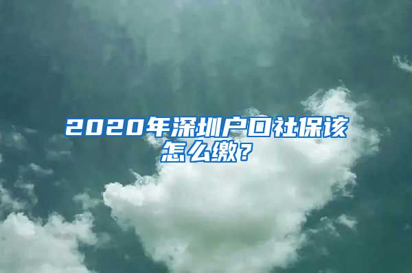 2020年深圳户口社保该怎么缴？