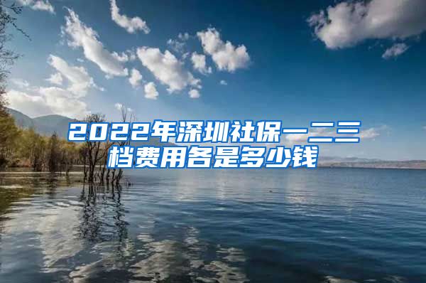 2022年深圳社保一二三档费用各是多少钱
