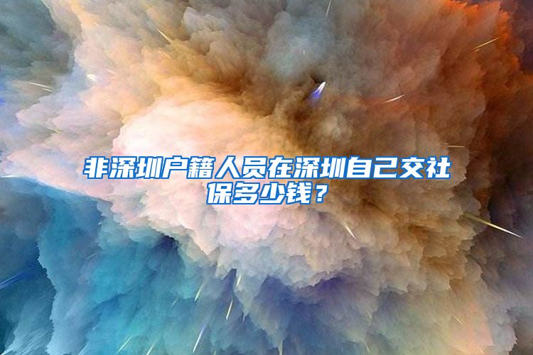 非深圳户籍人员在深圳自己交社保多少钱？