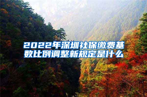2022年深圳社保缴费基数比例调整新规定是什么
