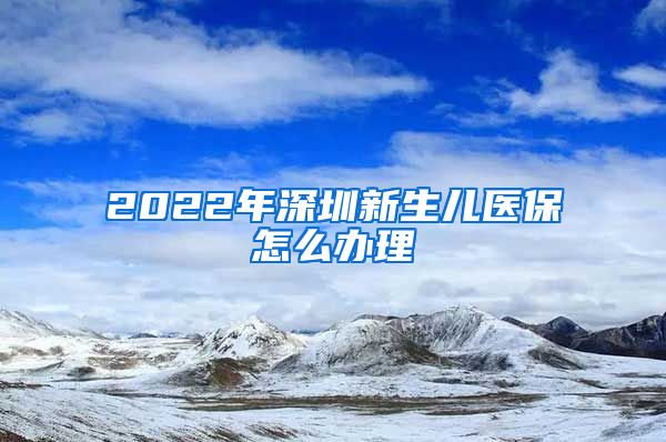 2022年深圳新生儿医保怎么办理