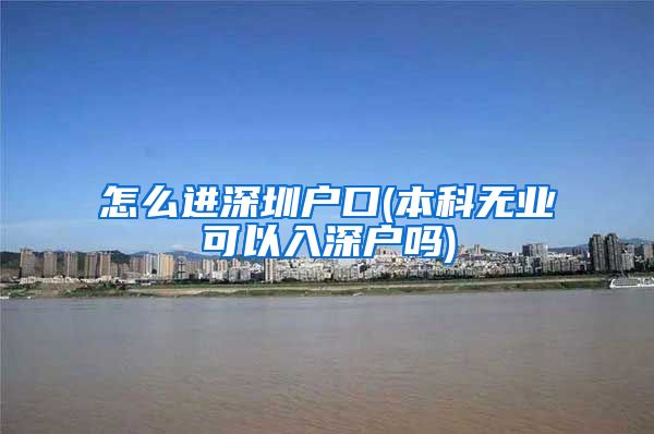 怎么进深圳户口(本科无业可以入深户吗)