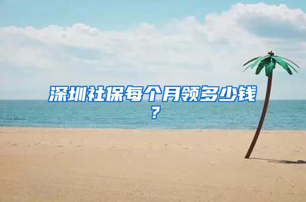 深圳社保每个月领多少钱？