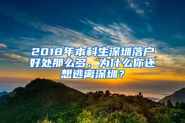 2018年本科生深圳落户好处那么多，为什么你还想逃离深圳？